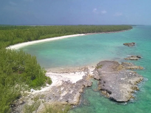 Thurston Bay Acreage